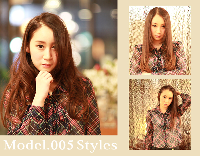 model_005