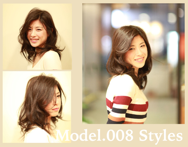 model_008
